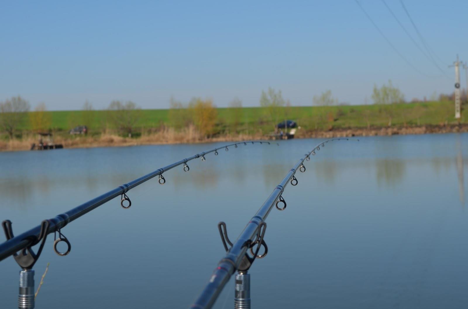 Teslui 2014 - 3 - image111111111.jpg